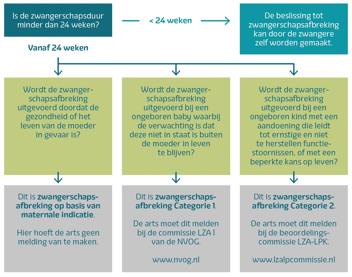 Stroomschema regels en wetgeving bij zwangerschapsafbreking