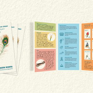 Gratis Folders Stille Levens (5 stuks)