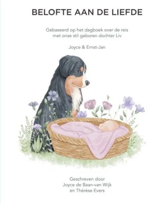 Belofte aan de liede cover