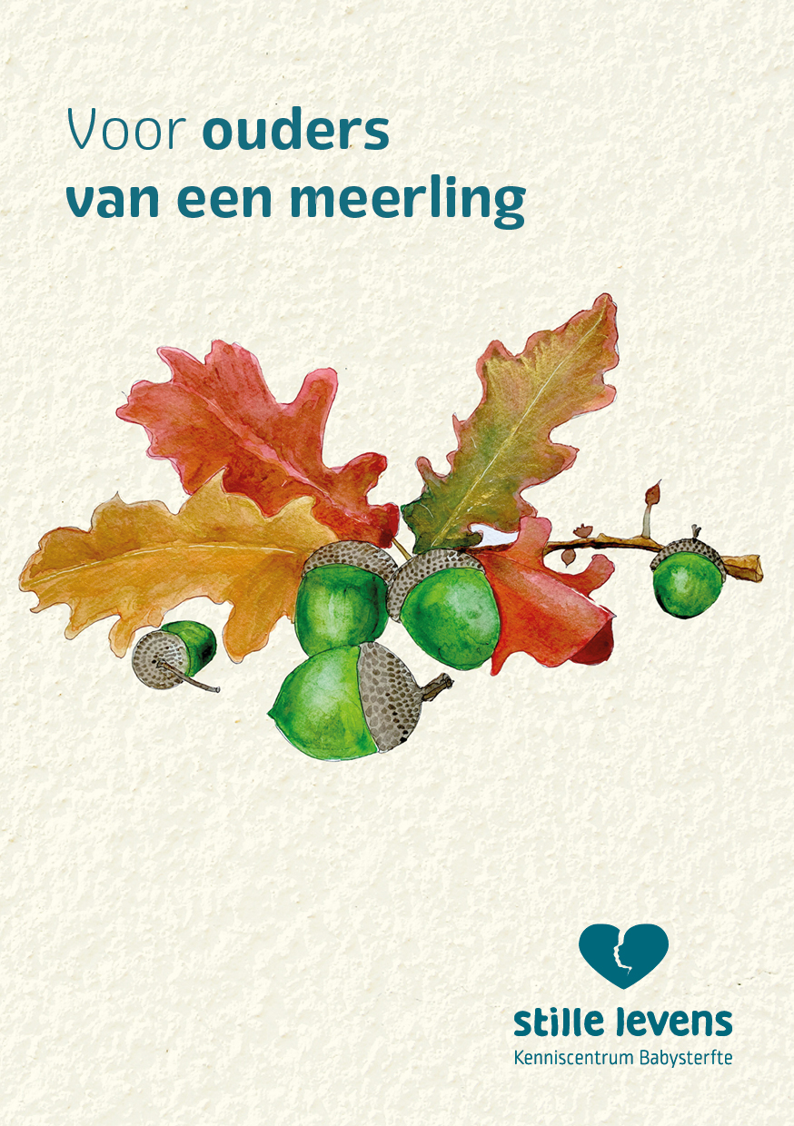 //www.stillelevens.nl/wp-content/uploads/Brochure_Voor-ouders-van-een-meerling_cover.jpg