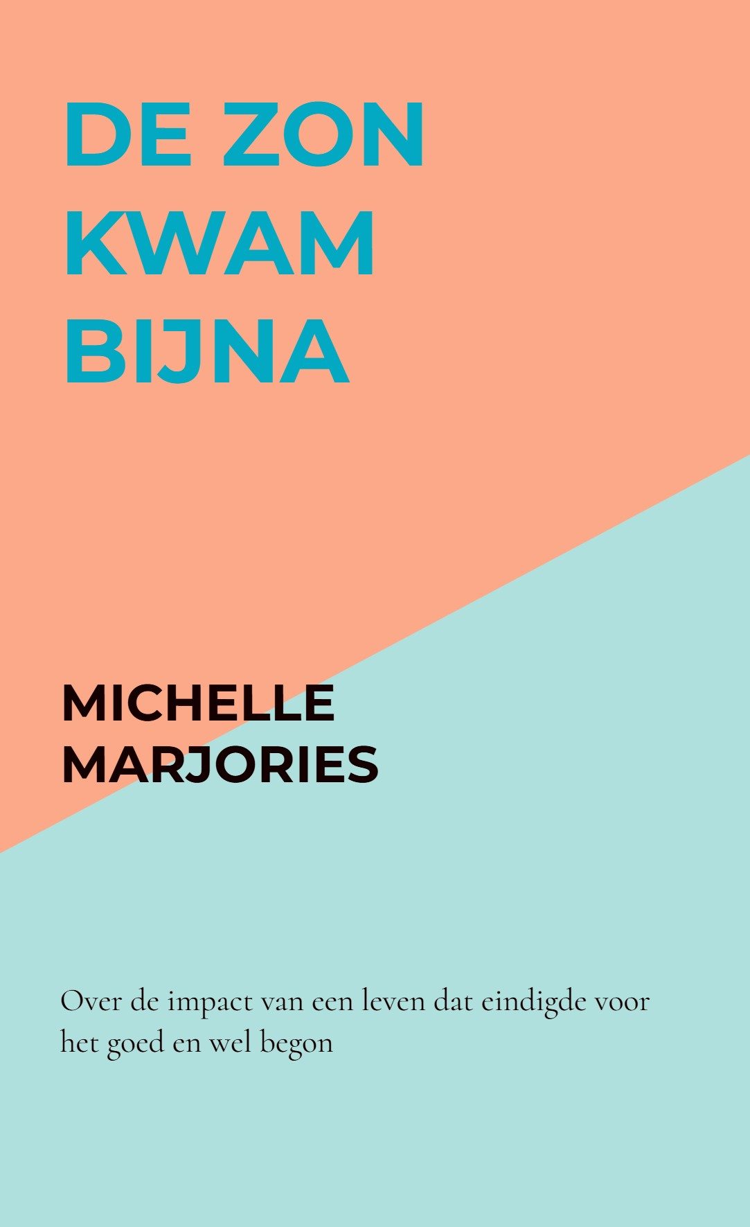 cover de zon kwam bijna