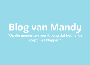 Op de wip