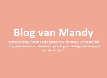 Vakantiegemis