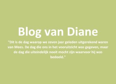 De dag van misschien