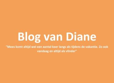 Een vlindertje op vakantie