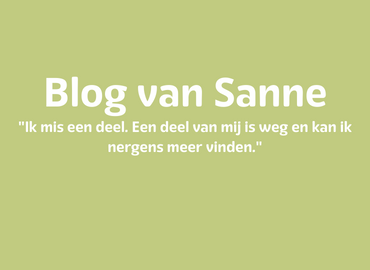 Vakantiedip